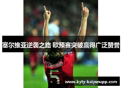 塞尔维亚逆袭之路 欧预赛突破赢得广泛赞誉