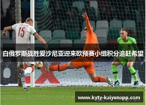 白俄罗斯战胜爱沙尼亚迎来欧预赛小组积分追赶希望