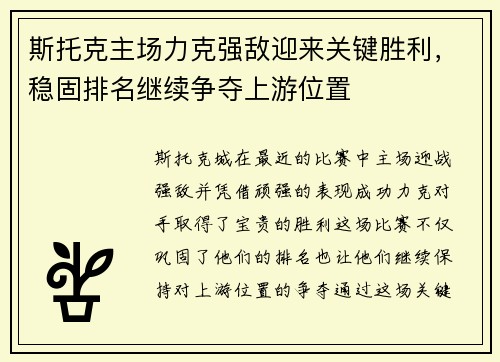 斯托克主场力克强敌迎来关键胜利，稳固排名继续争夺上游位置