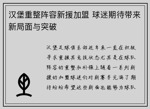 汉堡重整阵容新援加盟 球迷期待带来新局面与突破
